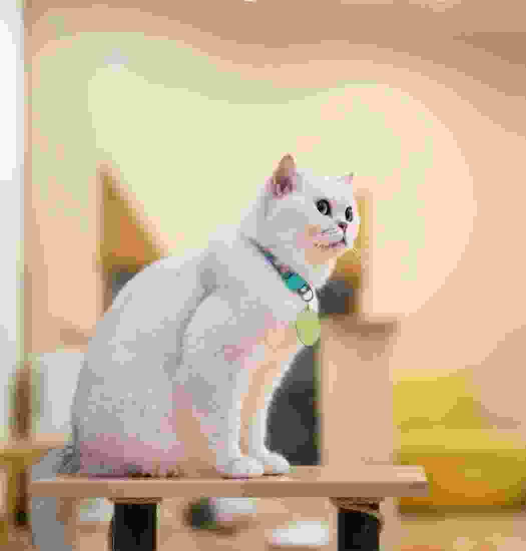 product-img-10b product-img-10b