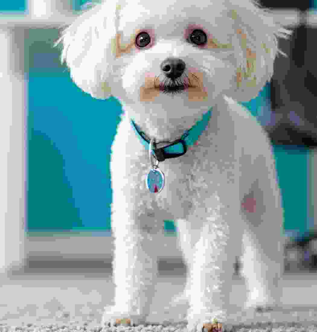 product-img-10c product-img-10