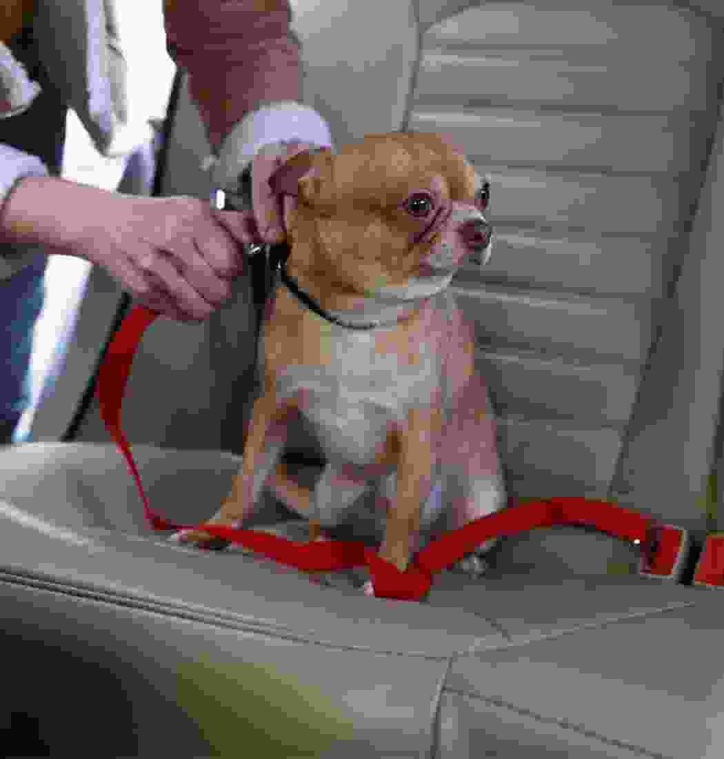 product-img-11b product-img-11b