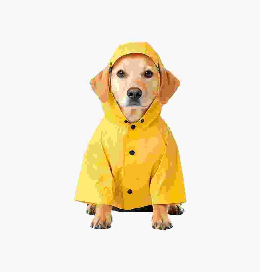 Shop Primary Image Shop Primary Image