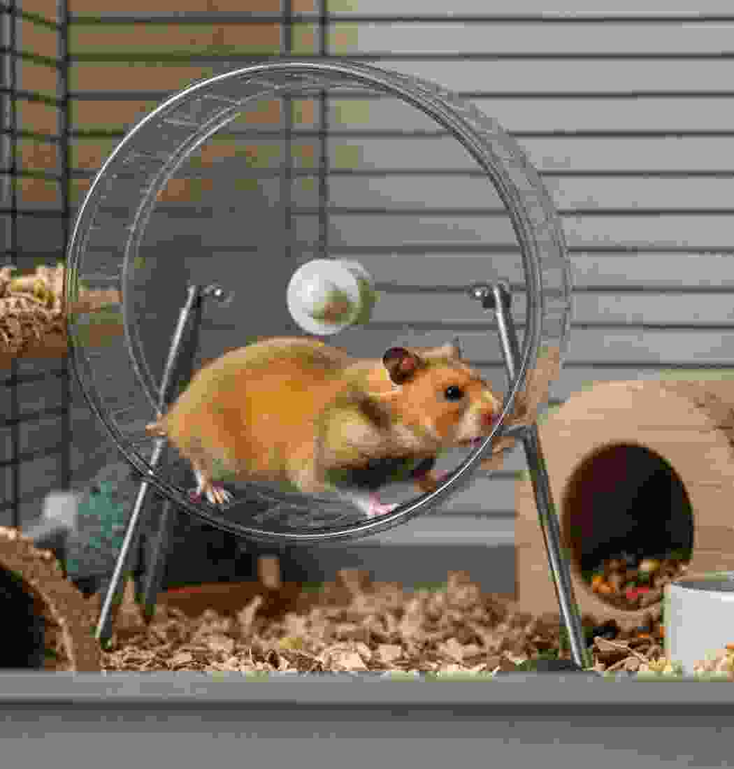 product-img-13a product-img-13a