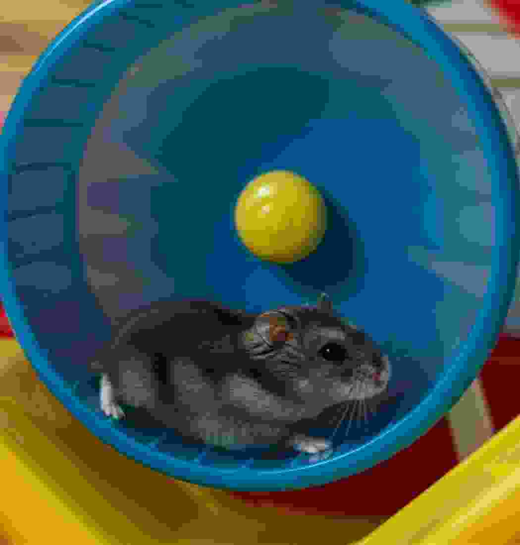 product-img-13c product-img-13c