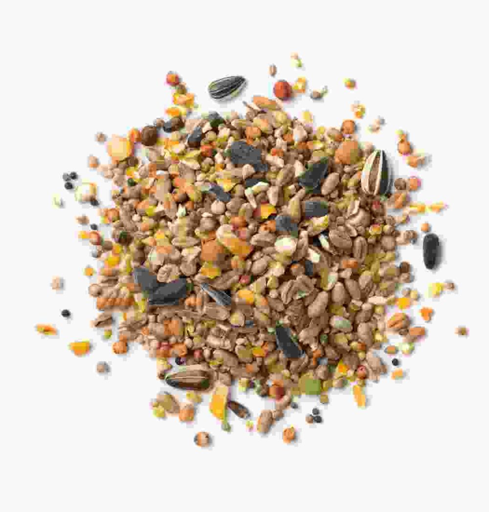 Shop Primary Image Shop Primary Image