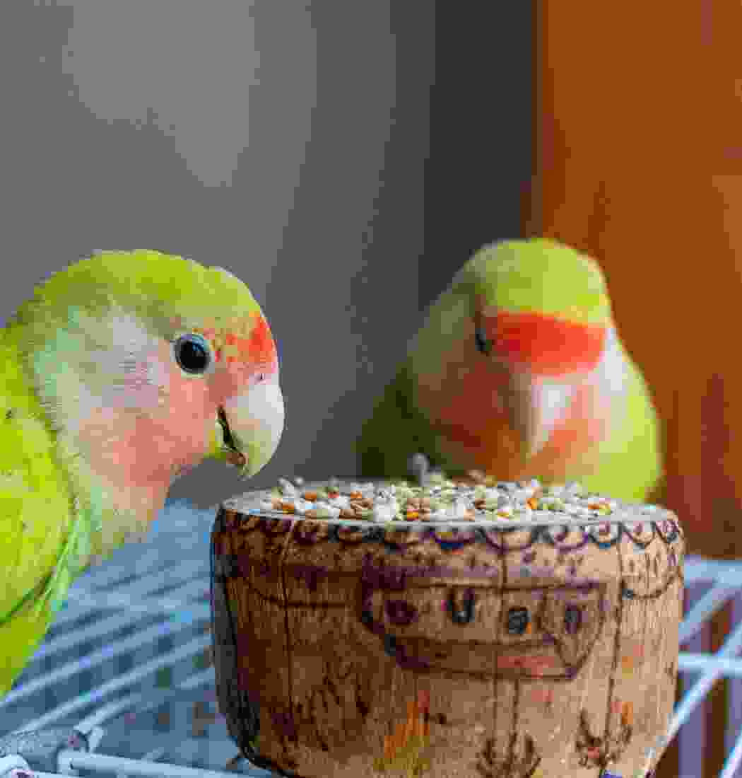 product-img-14a product-img-14a