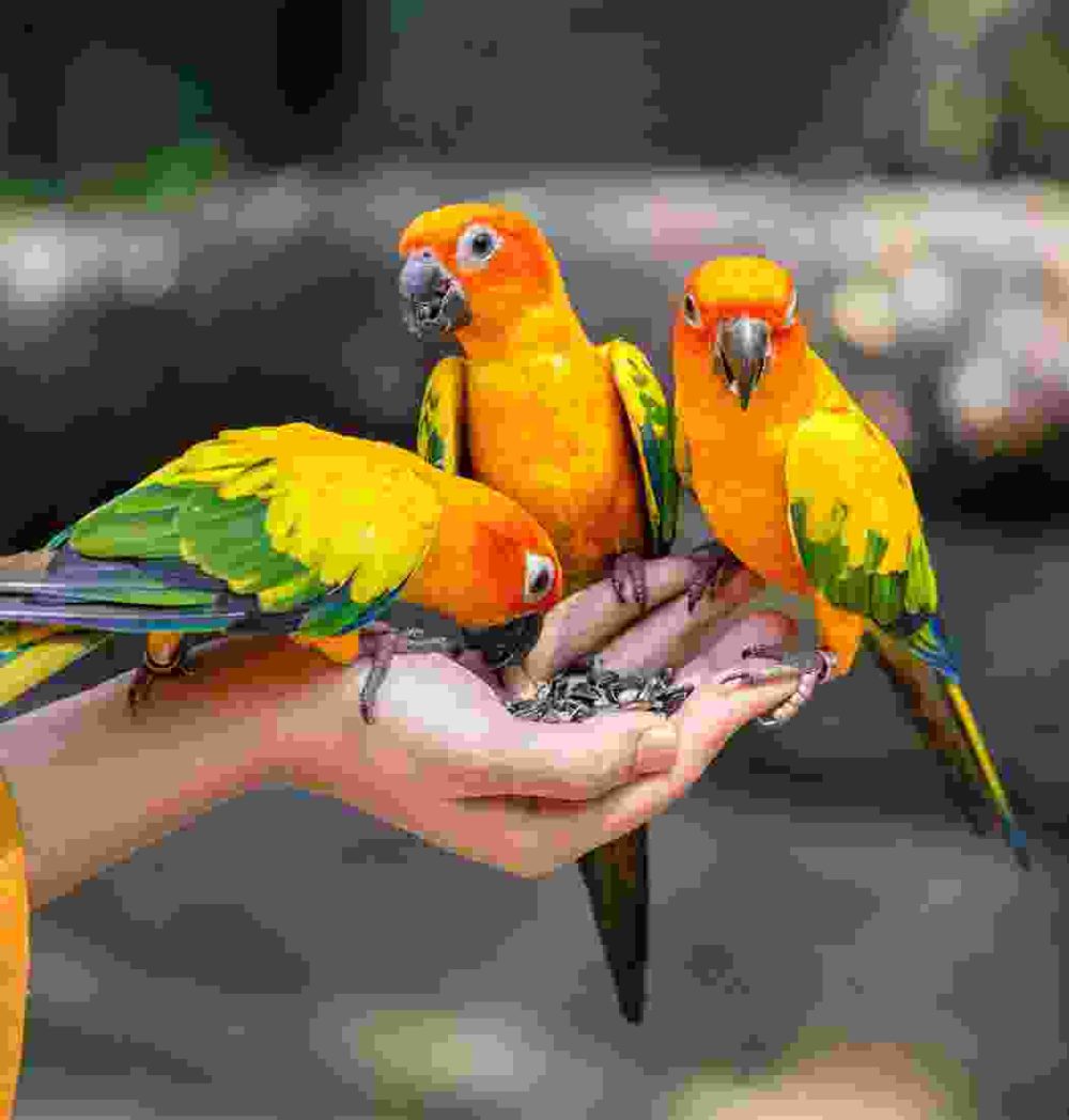 Gallery Thumb Gallery Thumb