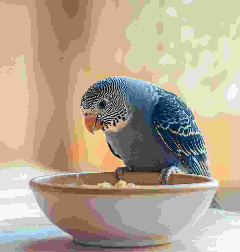 Gallery Thumb Gallery Thumb