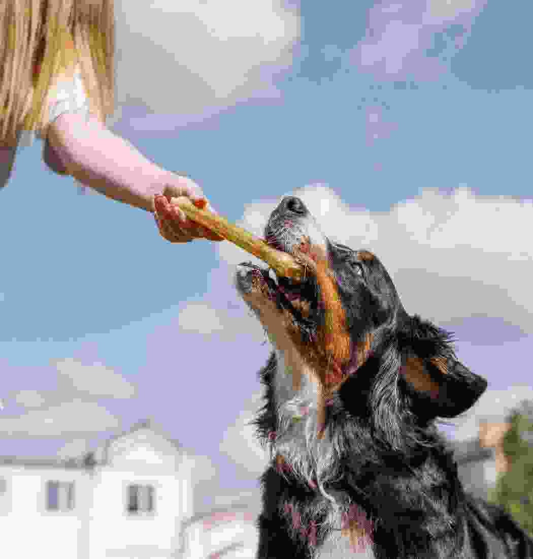 product-img-2a product-img-2a