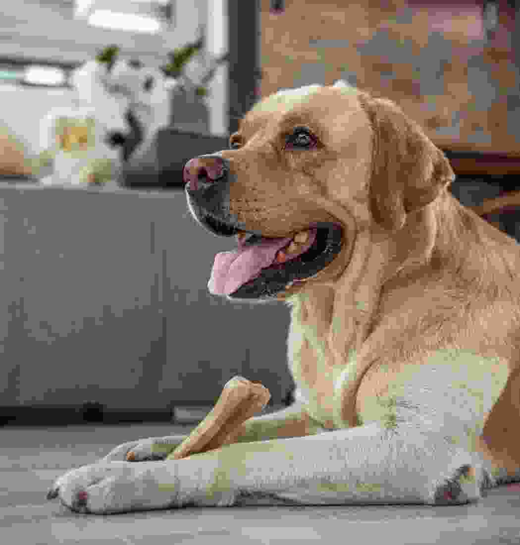 product-img-2c product-img-2c