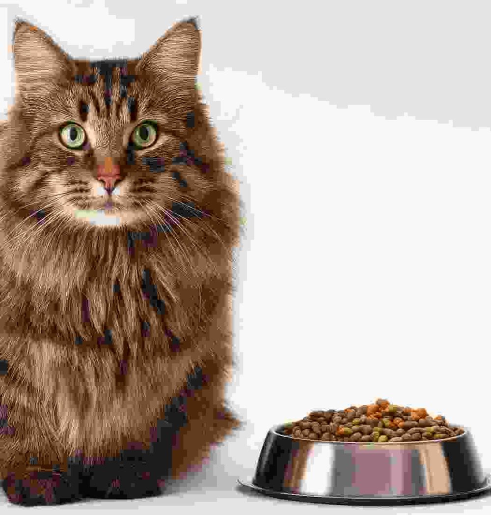 Gallery Thumb Gallery Thumb