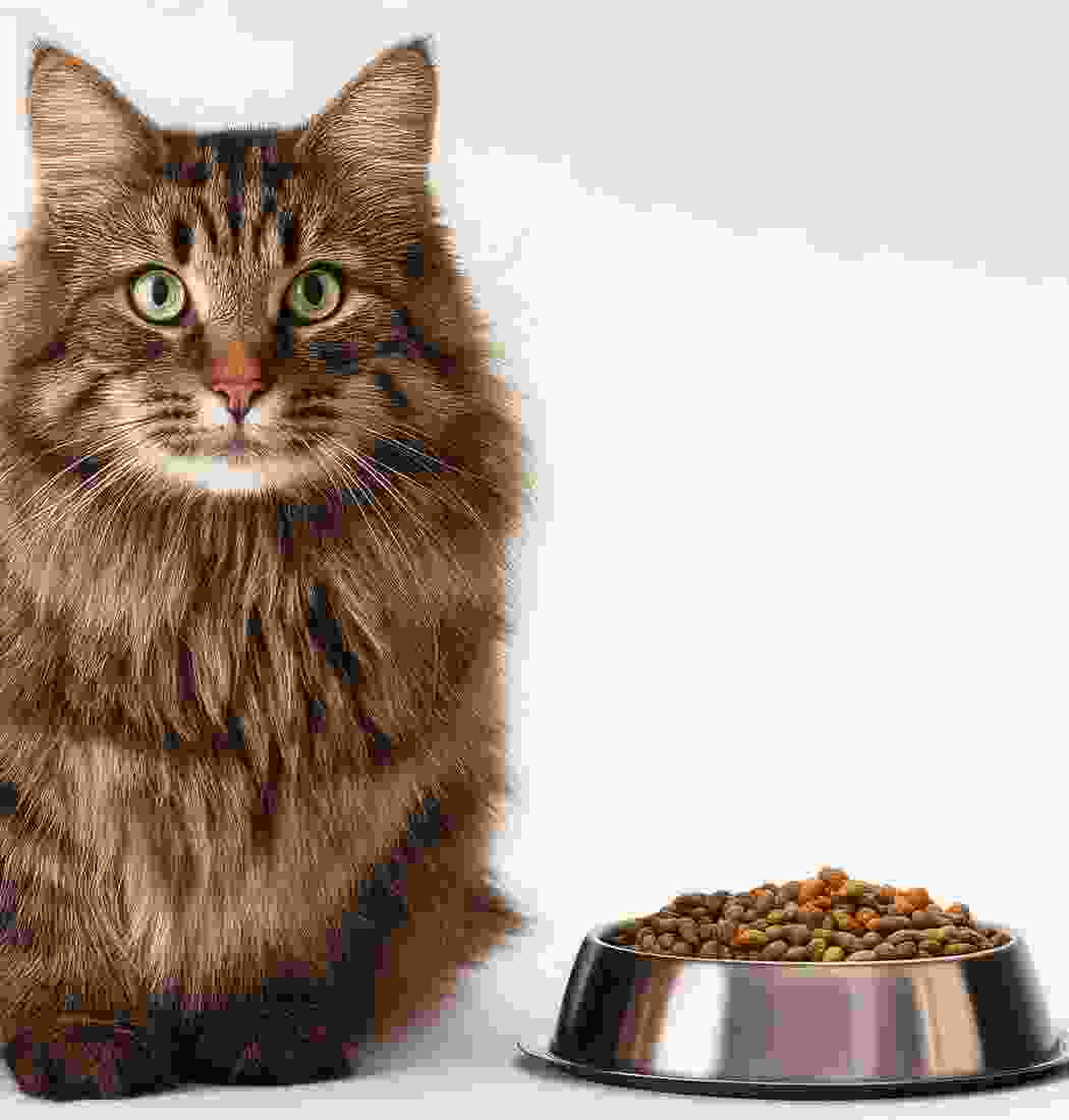 product-img-3b product-img-3b