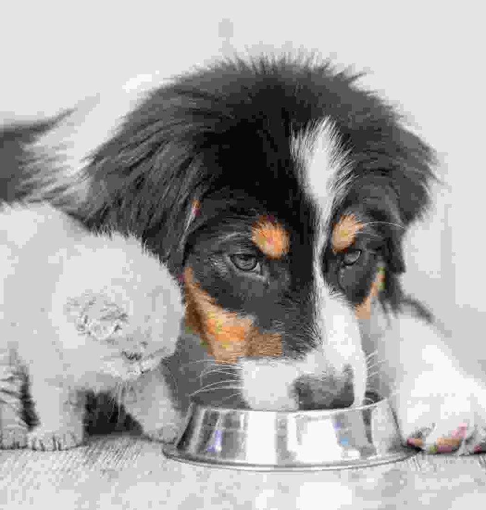 Gallery Thumb Gallery Thumb