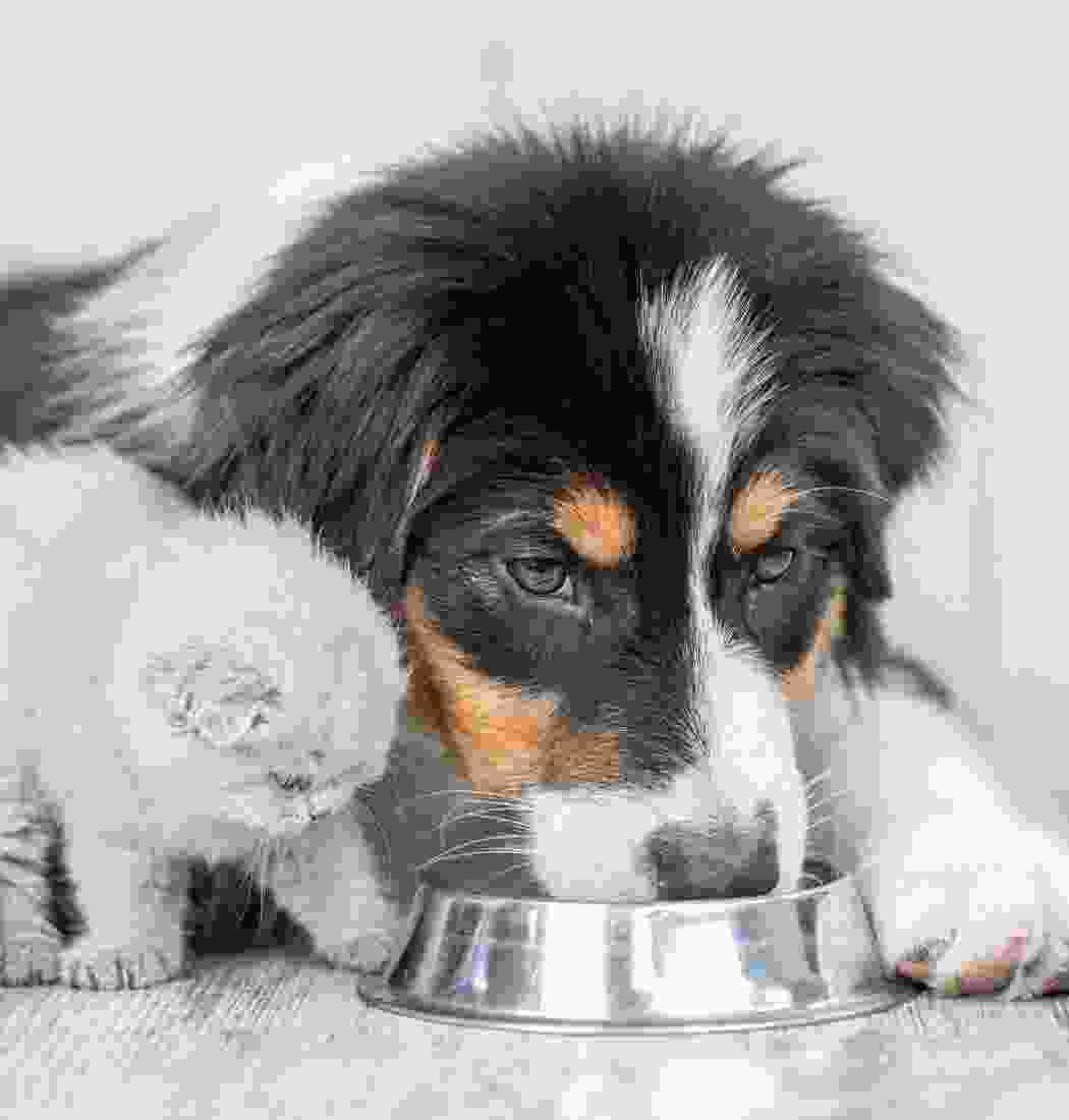 product-img-3c product-img-3c