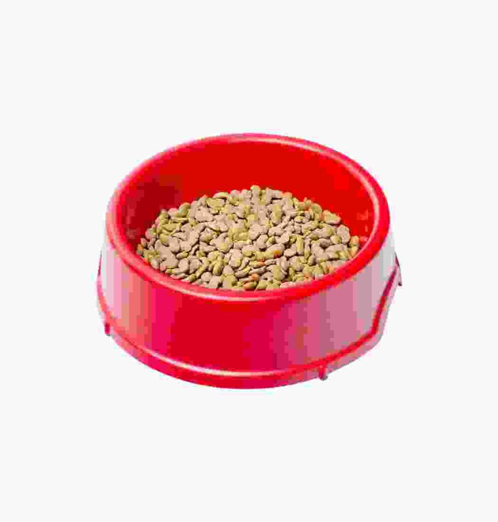 Shop Primary Image Shop Primary Image