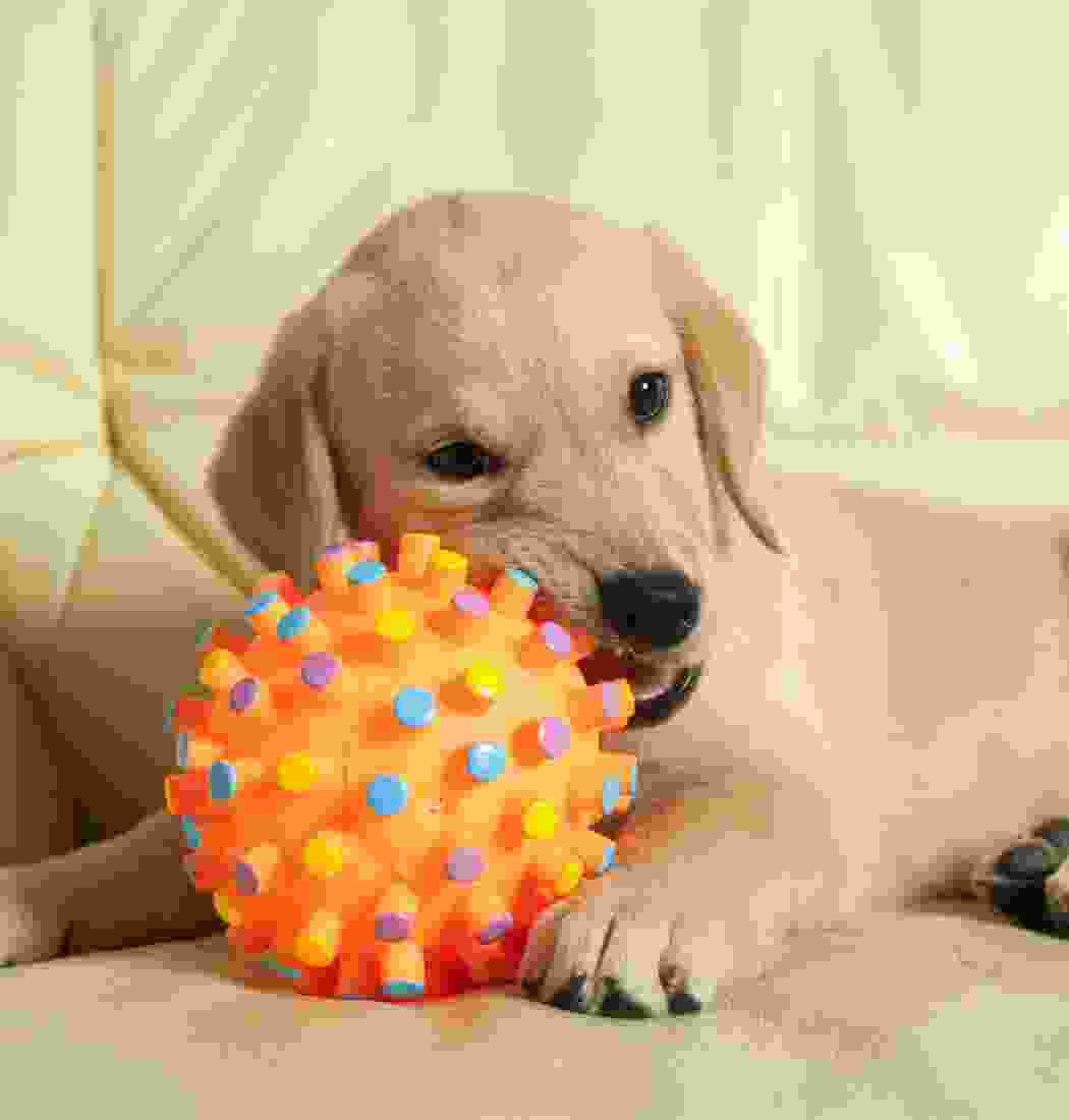 product-img-5a product-img-5a