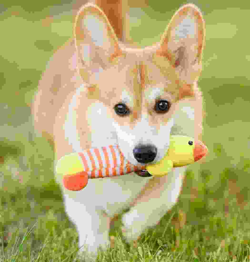 product-img-5b product-img-5b