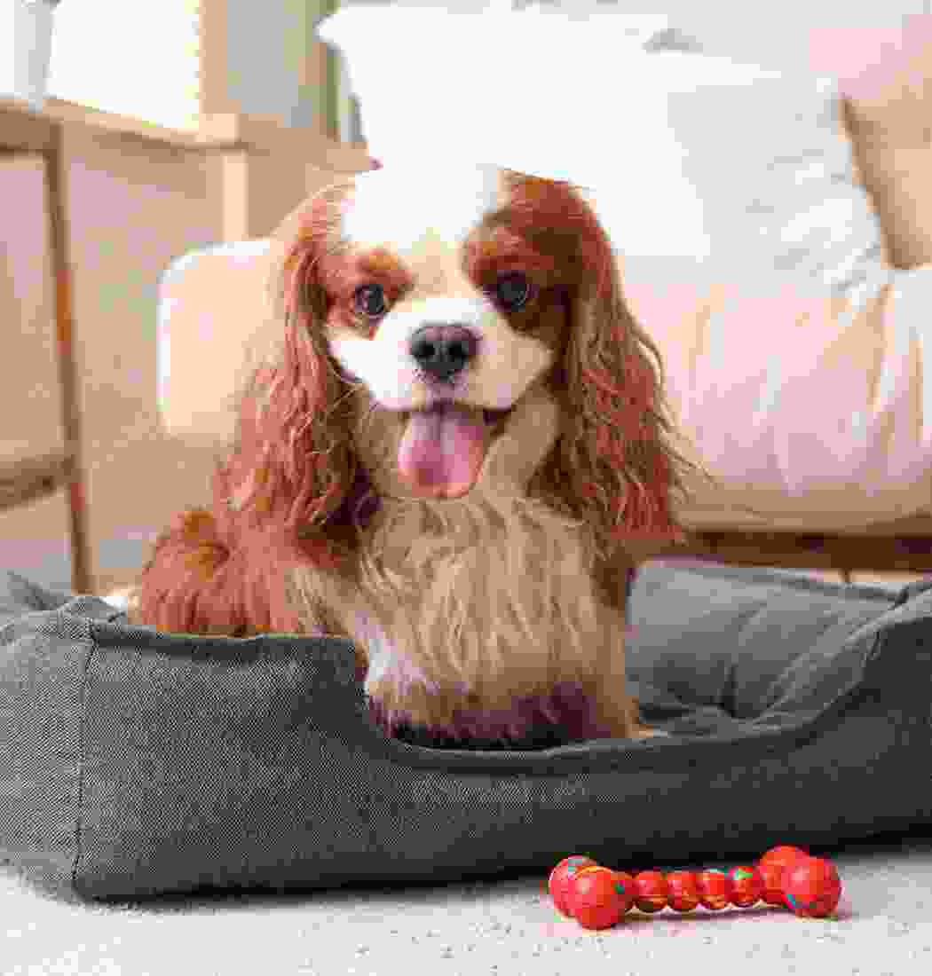 product-img-7b product-img-7b