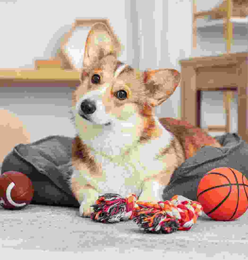 Gallery Thumb Gallery Thumb