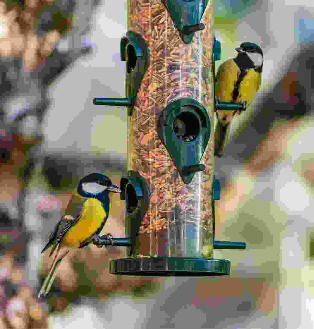 product-img-8a product-img-8a