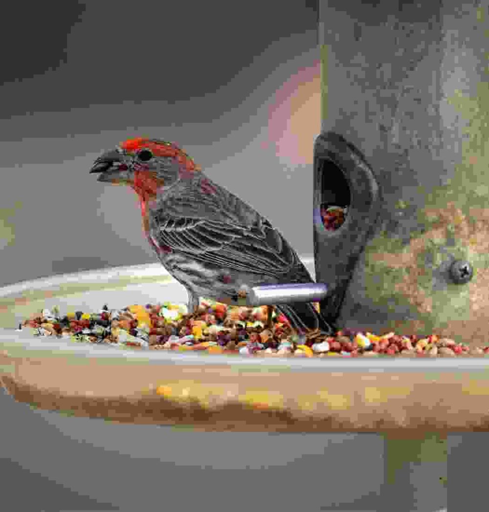 Gallery Thumb Gallery Thumb