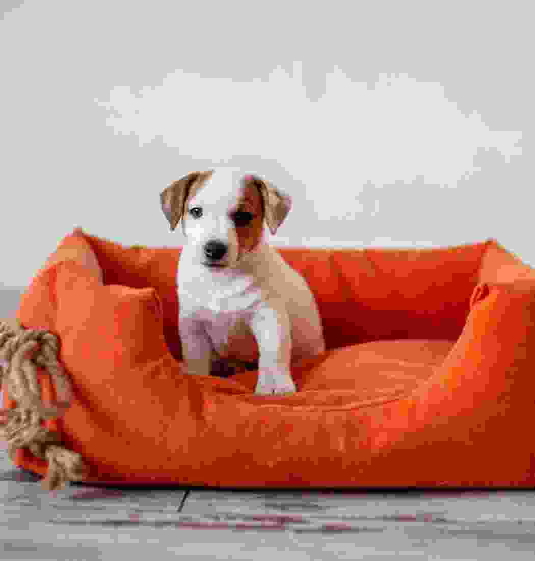 product-img-9a product-img-9a