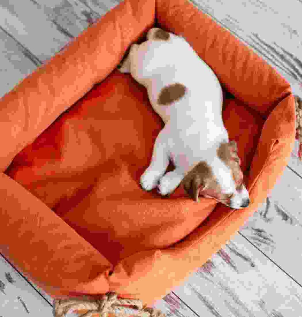 Gallery Thumb Gallery Thumb