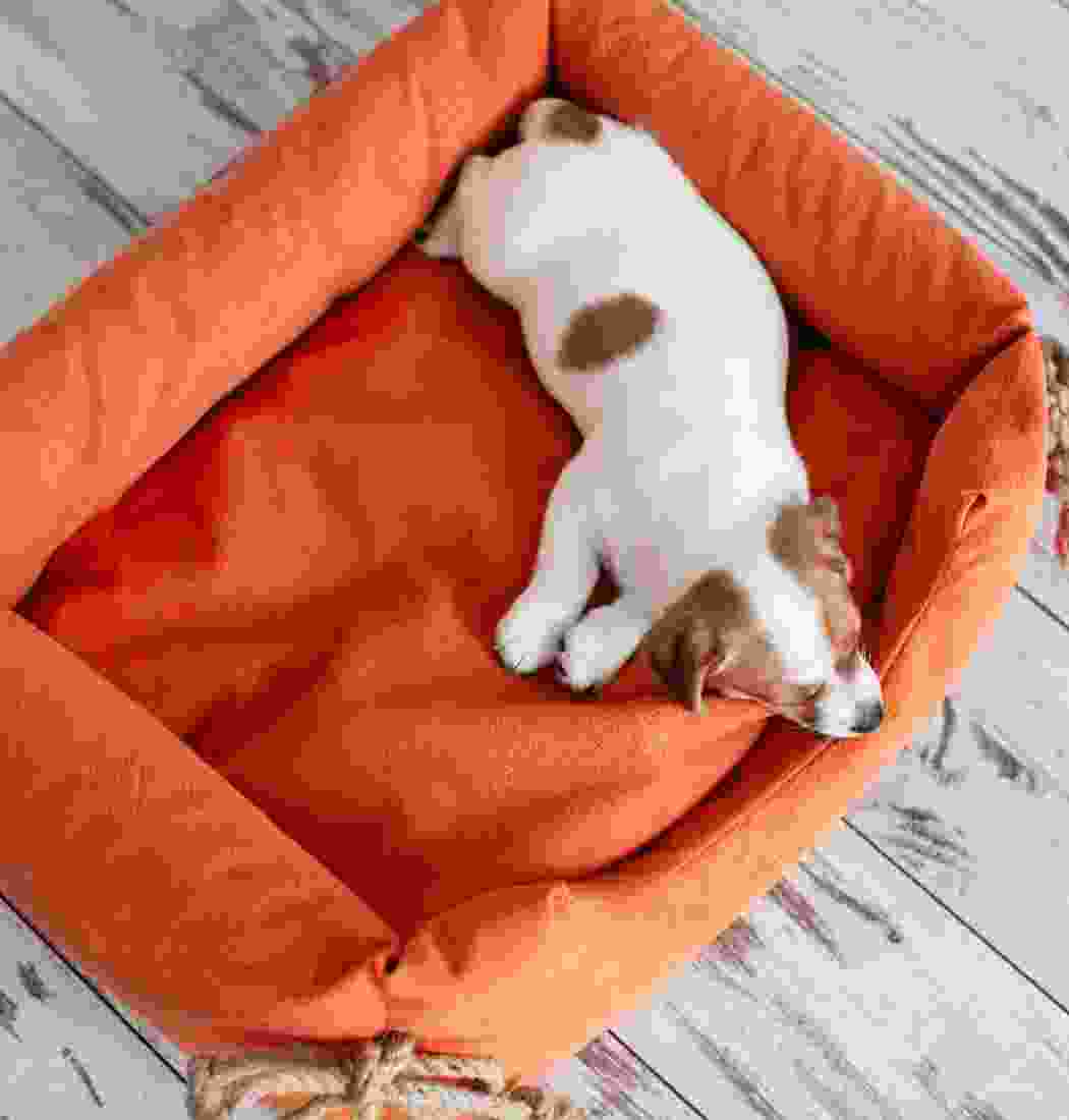 product-img-9b product-img-9b