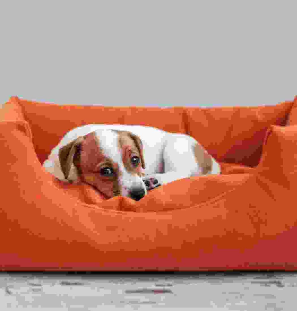 Gallery Thumb Gallery Thumb