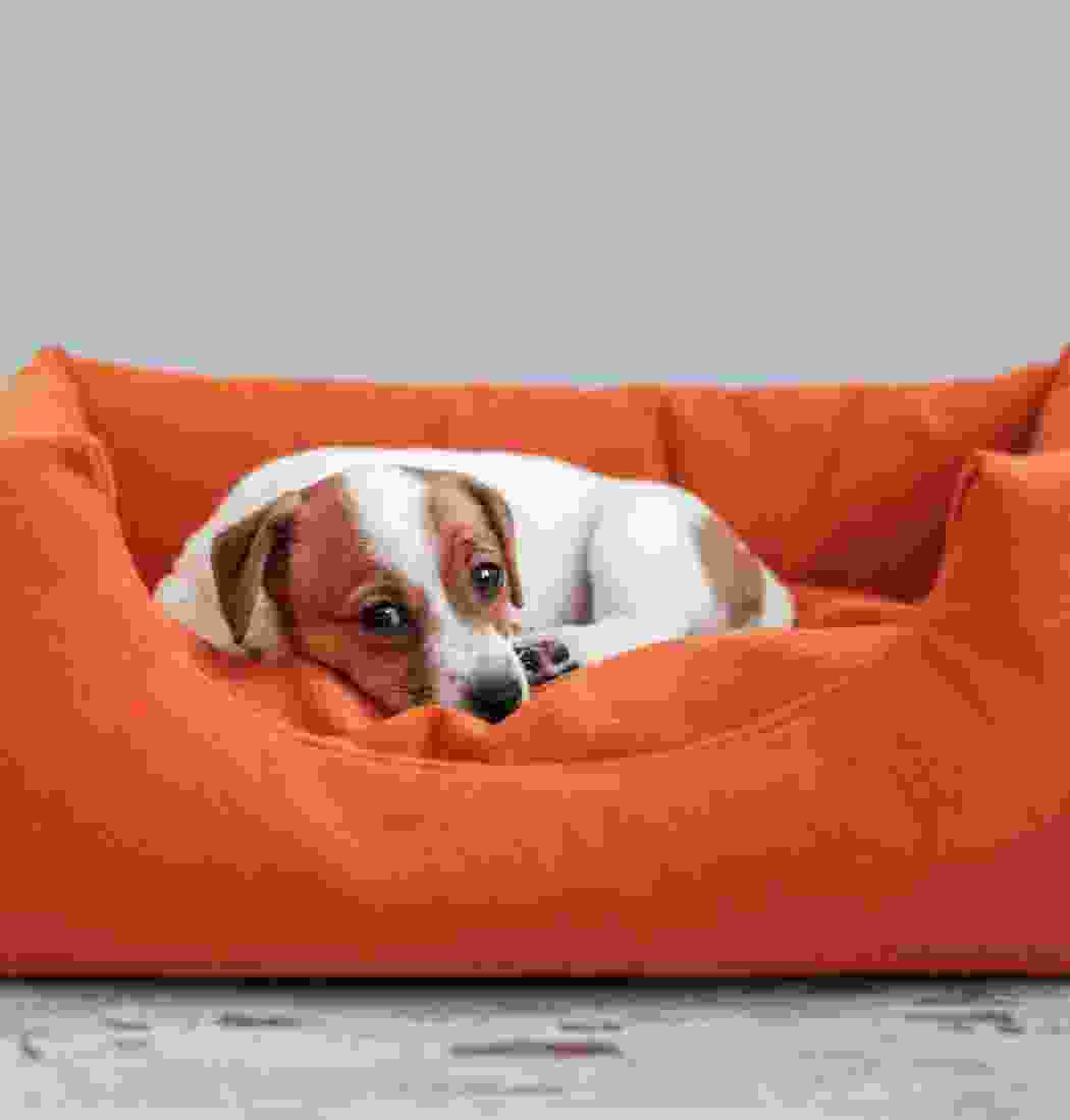 product-img-9c product-img-9c