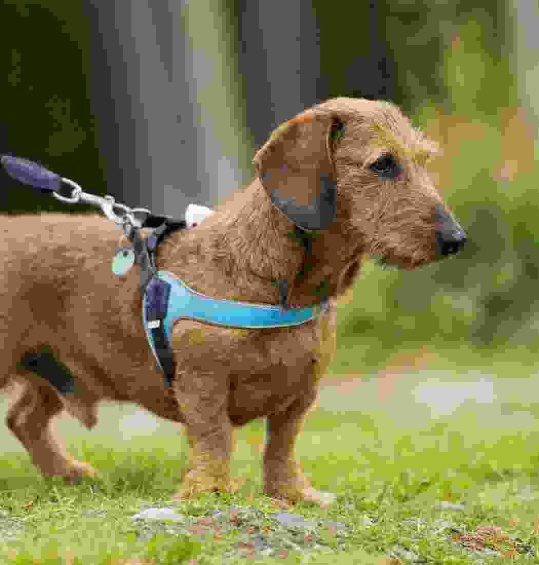 product-img-11bb product-img-11bb