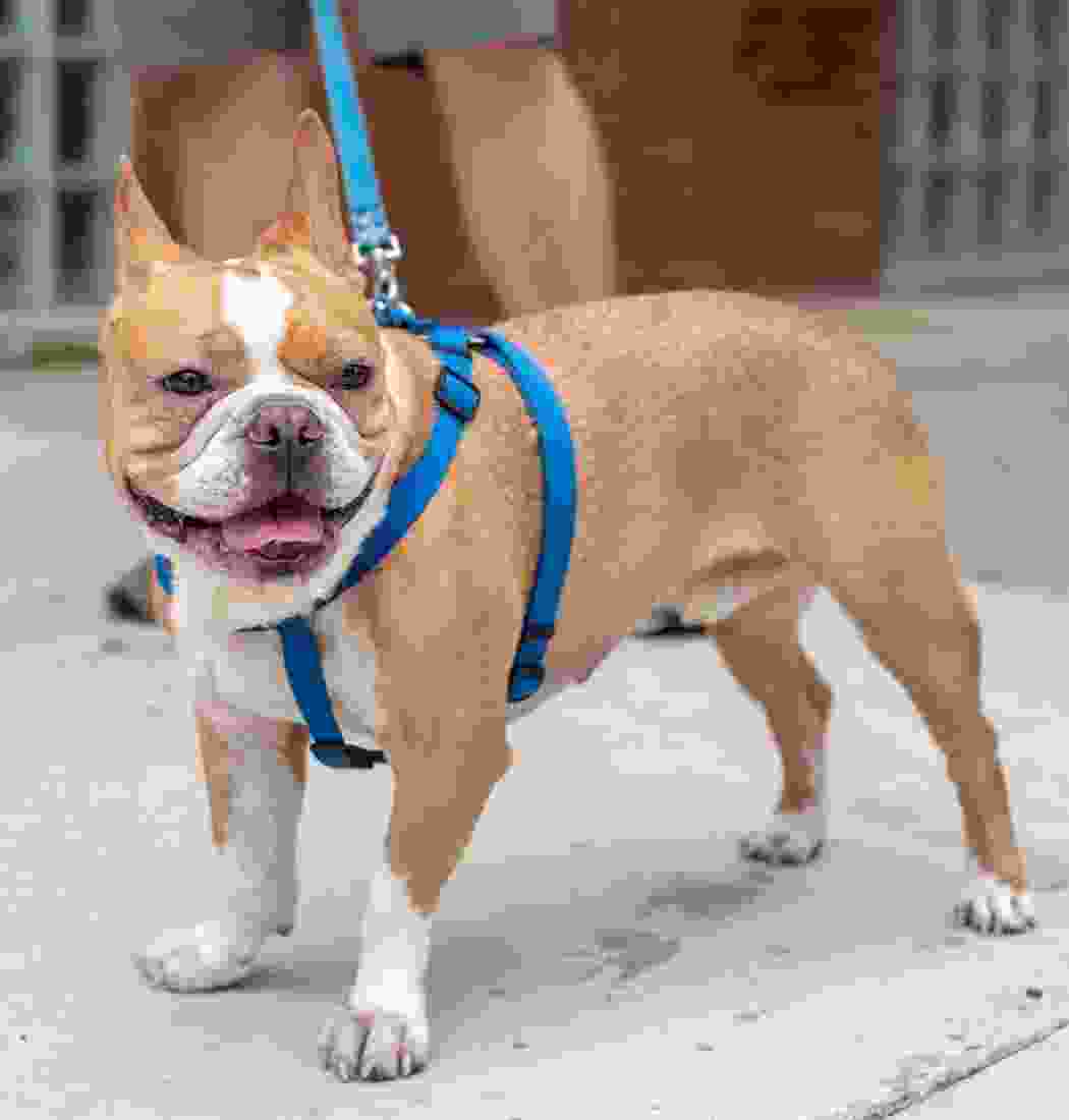 product-img-11cb product-img-11