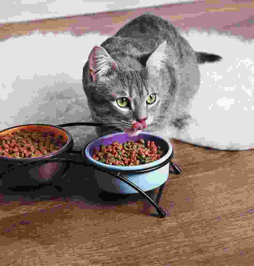 product-img-15a product-img-15a