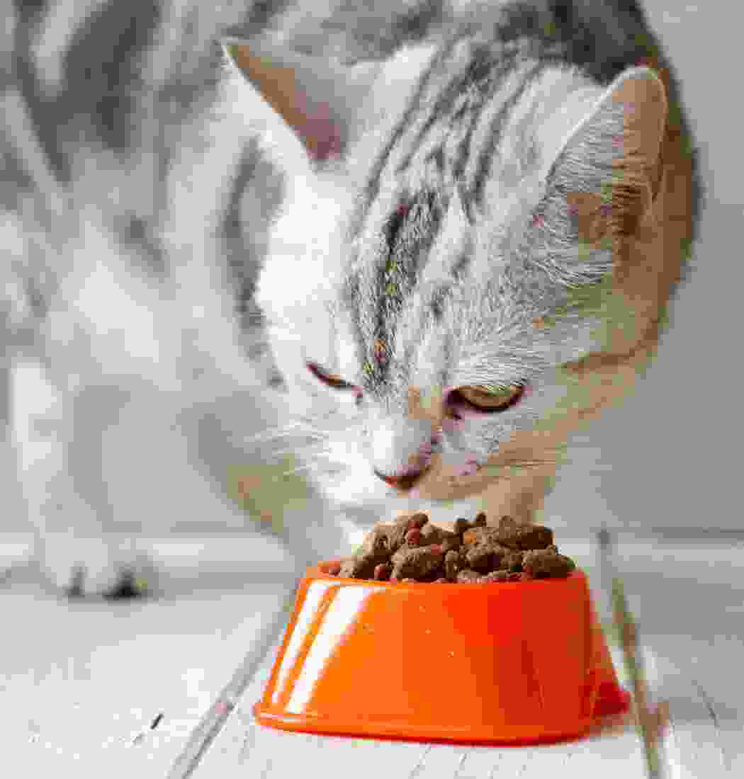 product-img-15d product-img-15d