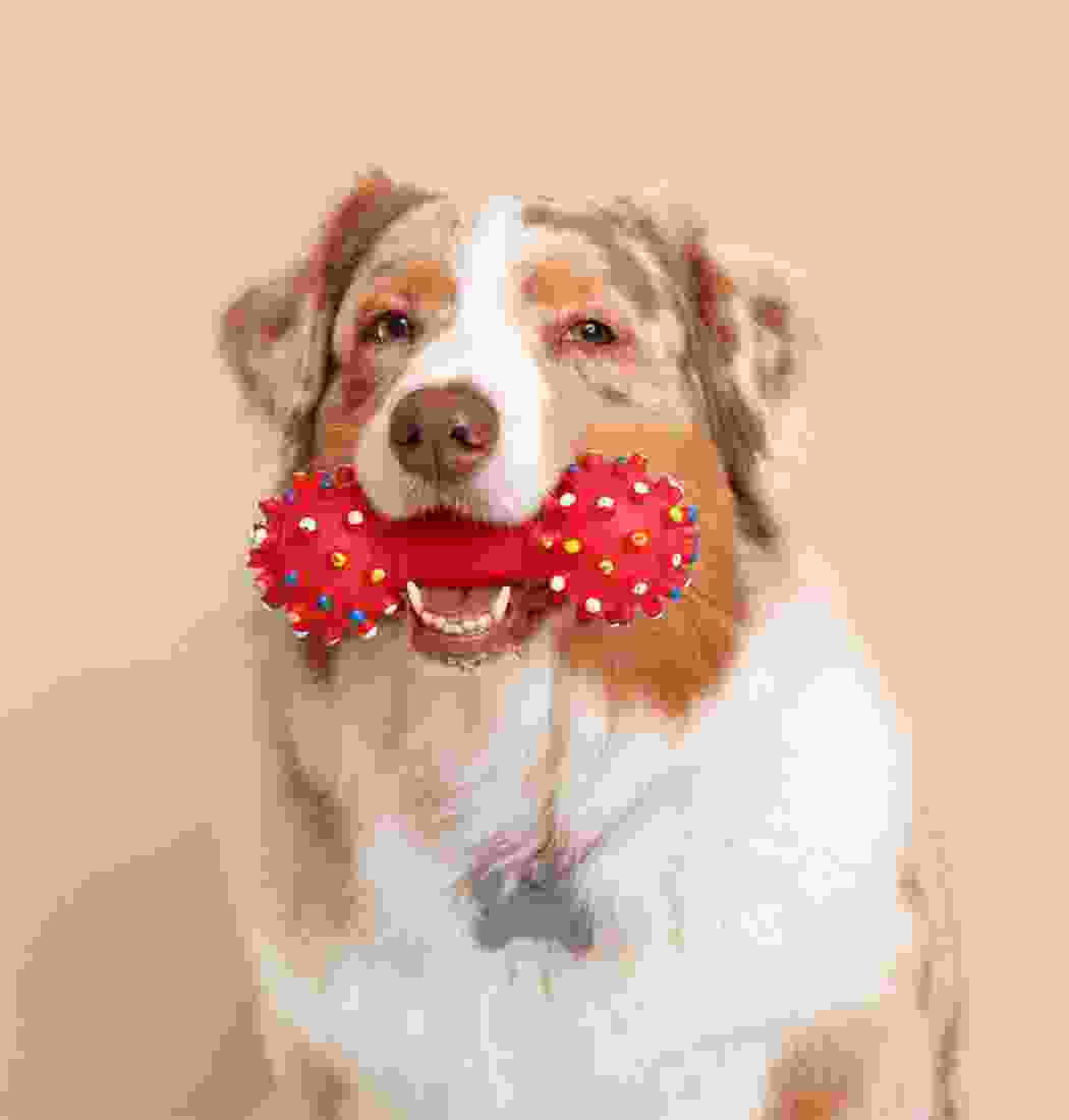 product-img-5bb product-img-5bb